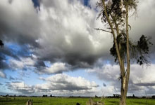 乒乓球直播间(5)在线直播有哪些亮点值得关注？